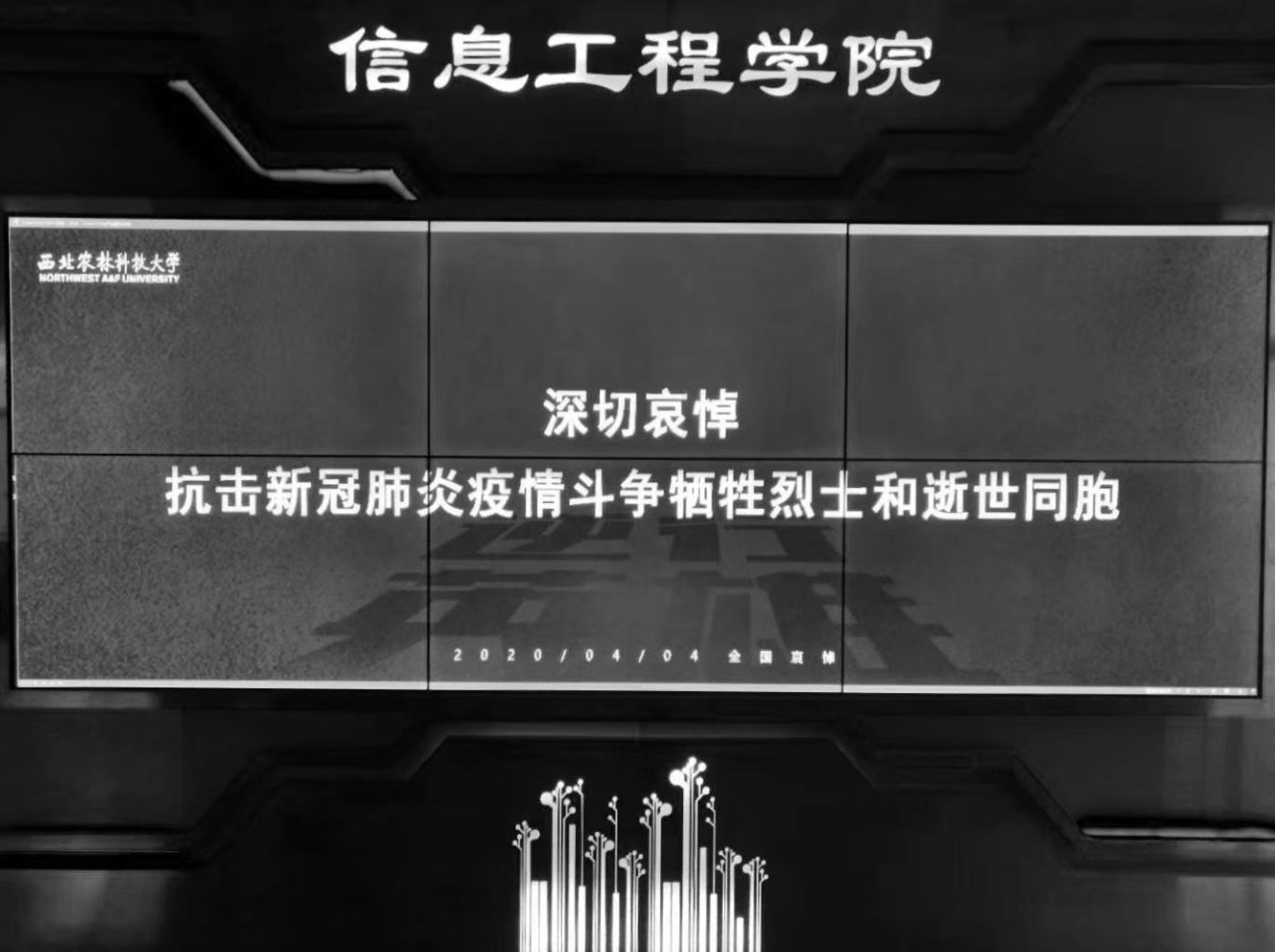 db86590352714cb78d06bbdb2fe65fa9.jpg db86590352714cb78d06bbdb2fe65fa9.jpg